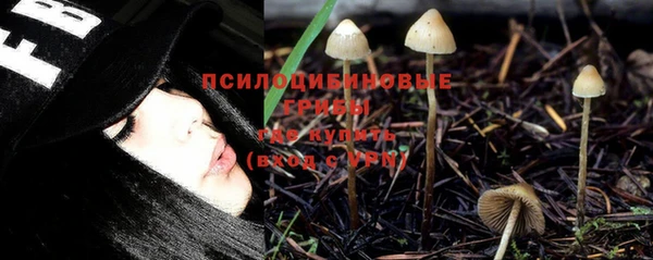 2c-b Алзамай