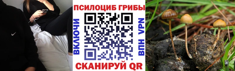 Псилоцибиновые грибы MAGIC MUSHROOMS  Октябрьск 